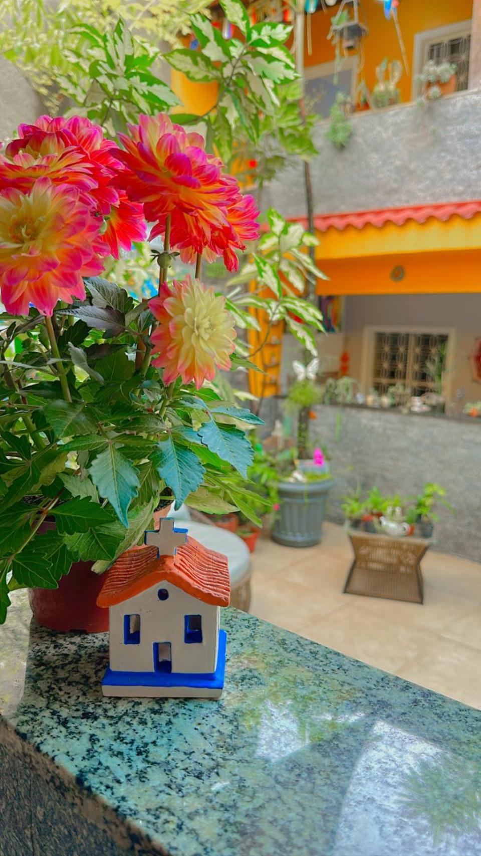 Village Potira * Rio de Janeiro