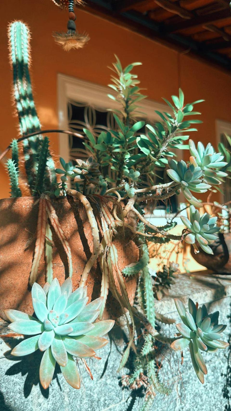 Hostal Village Potira - The