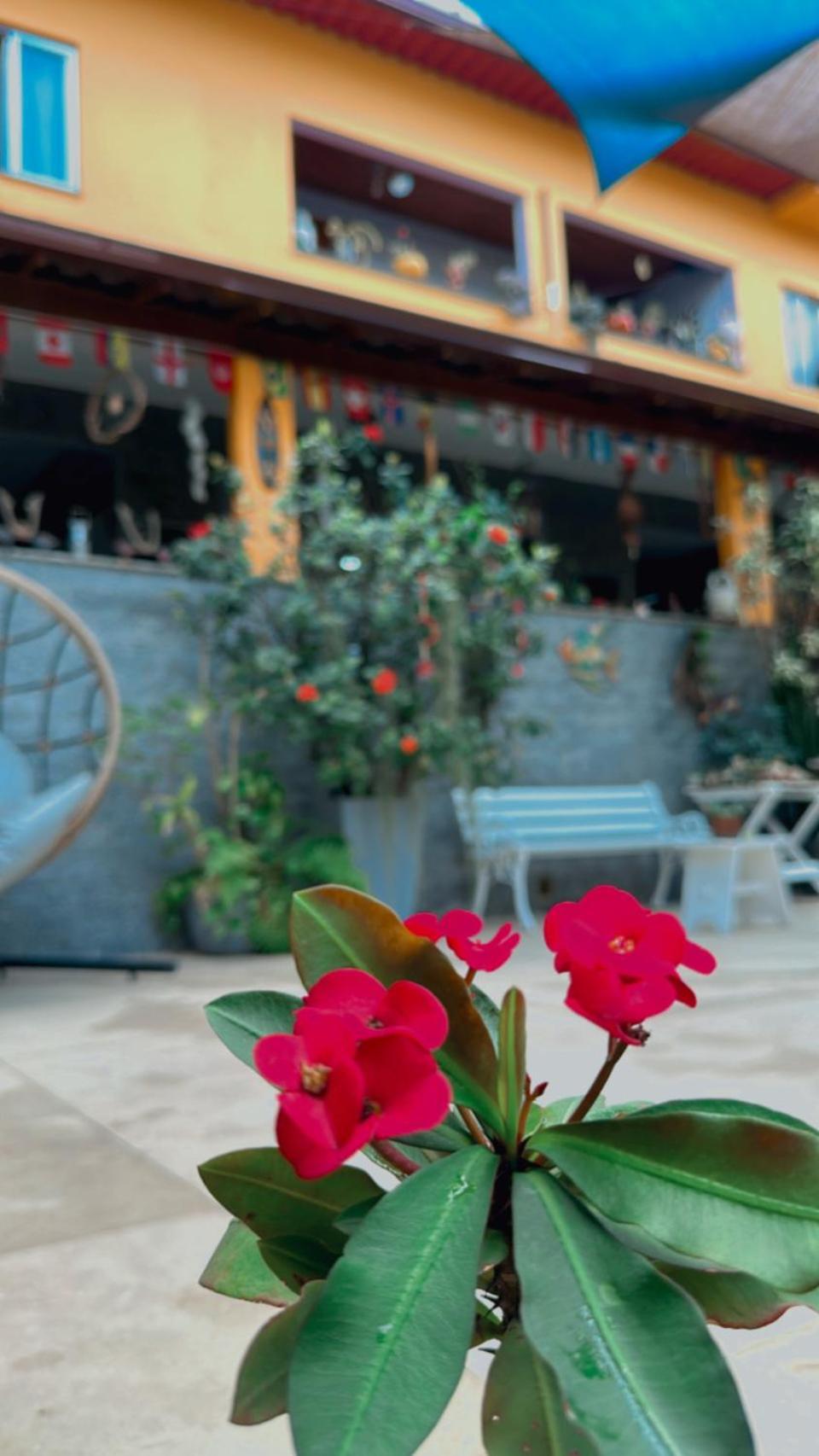 Village Potira - The Hostal *